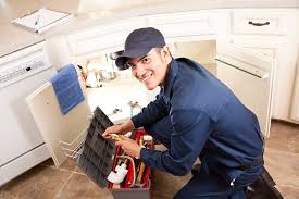 Best Plumbing System Maintenance  in Navesink, NJ